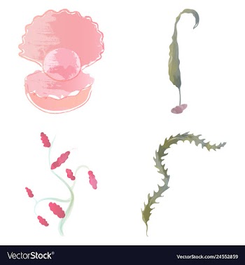Set of watercolor seaweed corals and stones vector image