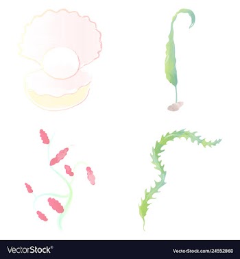 Set of watercolor seaweed corals and stones vector image