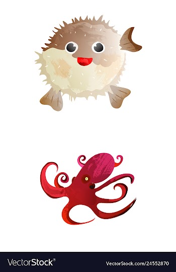 Set of watercolor seaweed corals and stones vector image