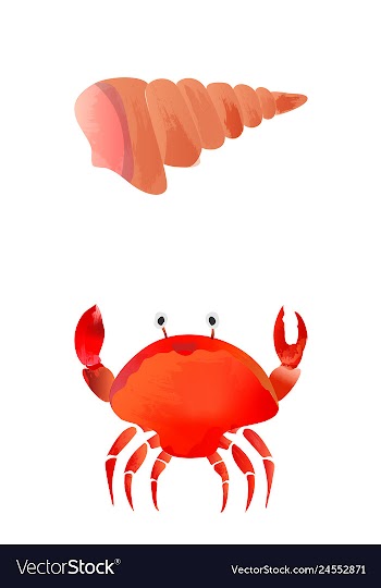 Set of watercolor seaweed corals and stones vector image