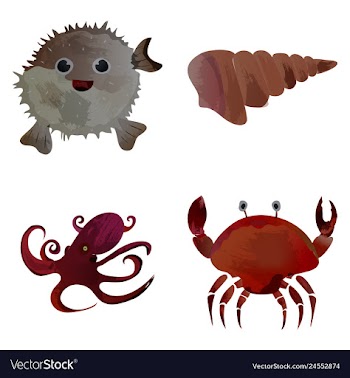 Set of watercolor seaweed corals and stones vector image