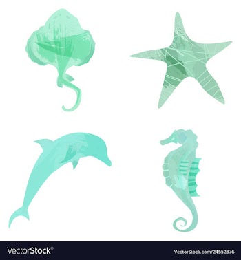 Set of watercolor seaweed corals and stones vector image