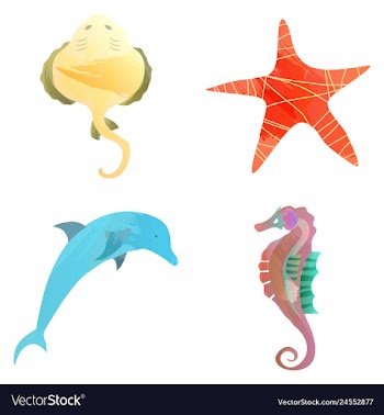 Set of watercolor seaweed corals and stones vector image