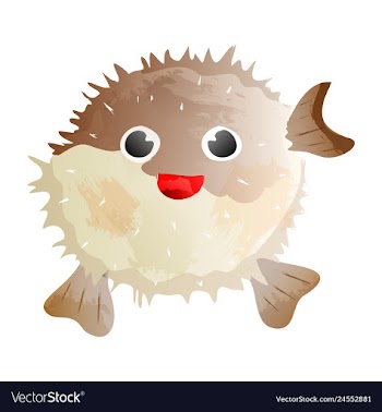 Set of watercolor seaweed corals and stones vector image