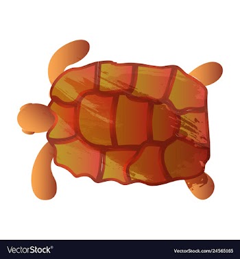 Set of watercolor seaweed corals and stones vector image