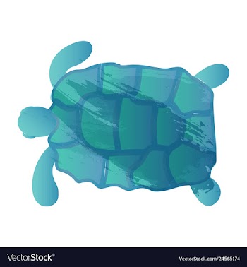 Set of watercolor seaweed corals and stones vector image