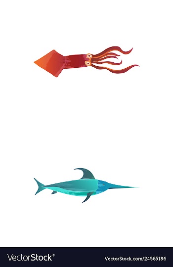 Set of watercolor seaweed corals and stones vector image