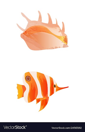Set of watercolor seaweed corals and stones vector image