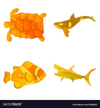 Set of watercolor seaweed corals and stones vector image