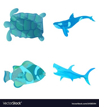 Set of watercolor seaweed corals and stones vector image