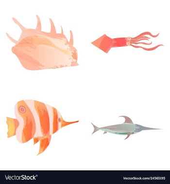 Set of watercolor seaweed corals and stones vector image