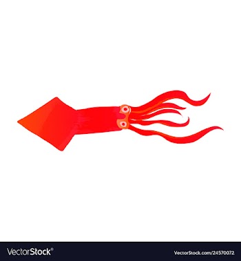 Set of watercolor seaweed corals and stones vector image