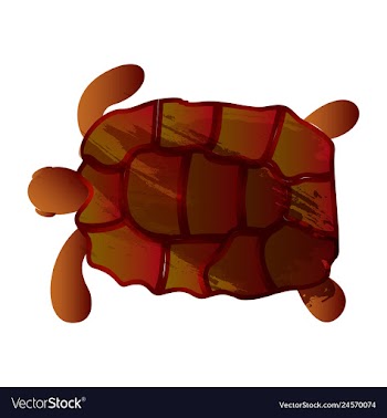 Set of watercolor seaweed corals and stones vector image