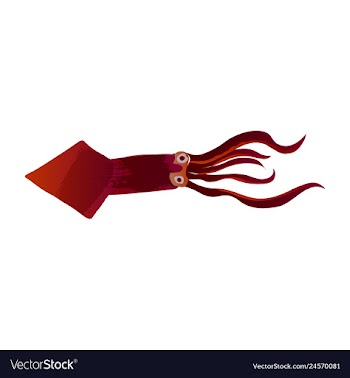 Set of watercolor seaweed corals and stones vector image
