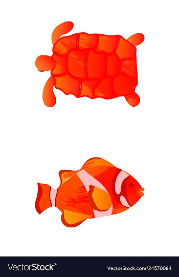 Set of watercolor seaweed corals and stones vector image