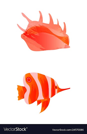Set of watercolor seaweed corals and stones vector image
