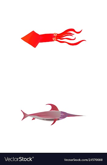 Set of watercolor seaweed corals and stones vector image