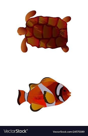 Set of watercolor seaweed corals and stones vector image