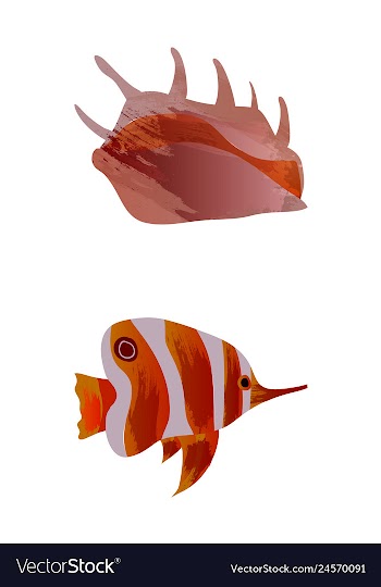 Set of watercolor seaweed corals and stones vector image