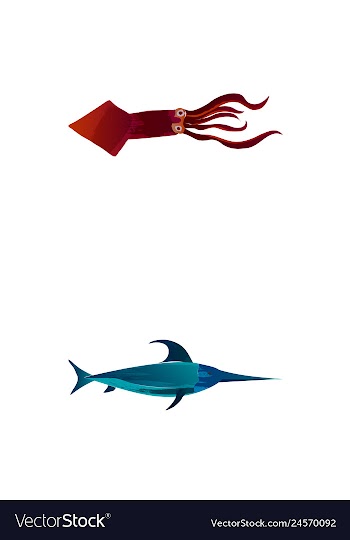 Set of watercolor seaweed corals and stones vector image