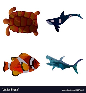 Set of watercolor seaweed corals and stones vector image