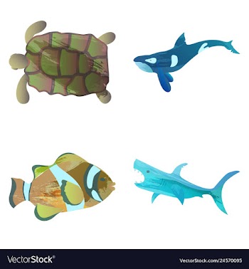 Set of watercolor seaweed corals and stones vector image