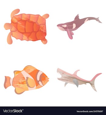 Set of watercolor seaweed corals and stones vector image