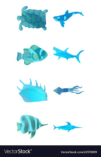Set of watercolor seaweed corals and stones vector image