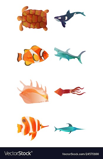 Set of watercolor seaweed corals and stones vector image