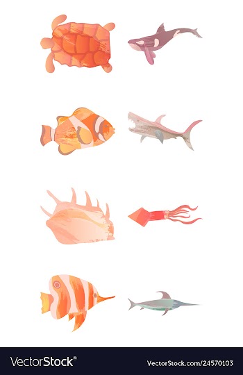 Set of watercolor seaweed corals and stones vector image