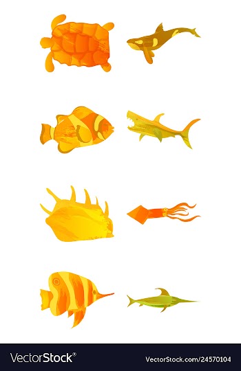 Set of watercolor seaweed corals and stones vector image