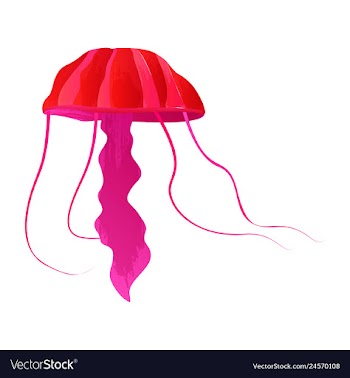 Set of watercolor seaweed corals and stones vector image