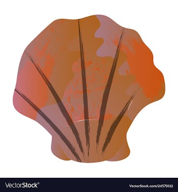 Set of watercolor seaweed corals and stones vector image