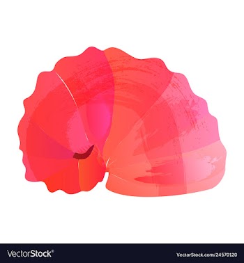 Set of watercolor seaweed corals and stones vector image