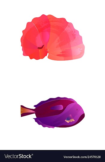 Set of watercolor seaweed corals and stones vector image