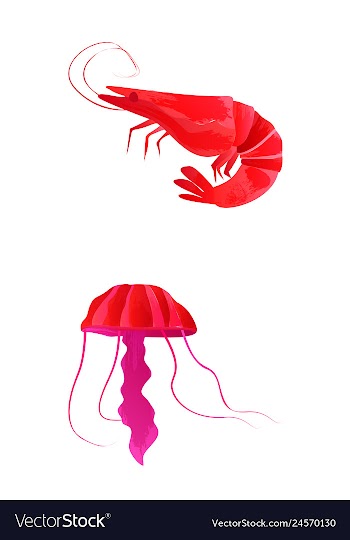Set of watercolor seaweed corals and stones vector image