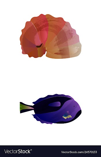 Set of watercolor seaweed corals and stones vector image