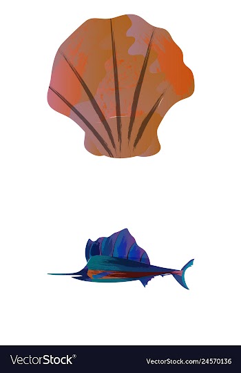 Set of watercolor seaweed corals and stones vector image