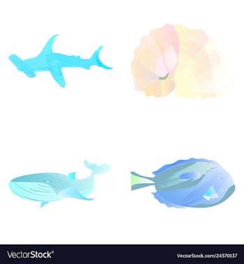 Set of watercolor seaweed corals and stones vector image