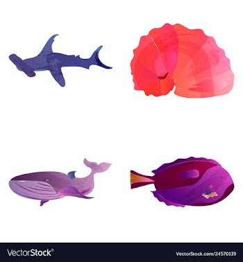 Set of watercolor seaweed corals and stones vector image