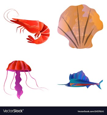 Set of watercolor seaweed corals and stones vector image