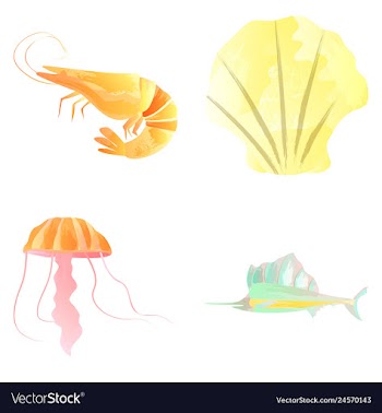 Set of watercolor seaweed corals and stones vector image