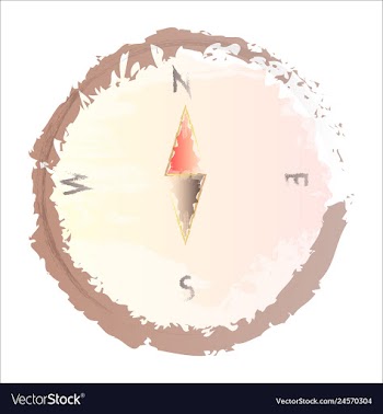 Set of watercolor seaweed corals and stones vector image