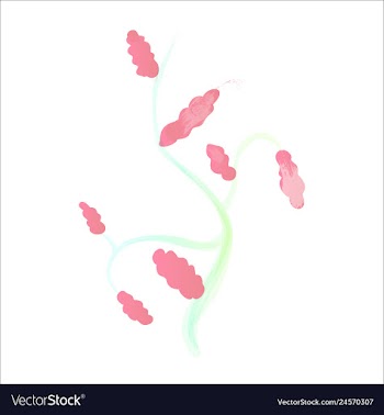 Set of watercolor seaweed corals and stones vector image