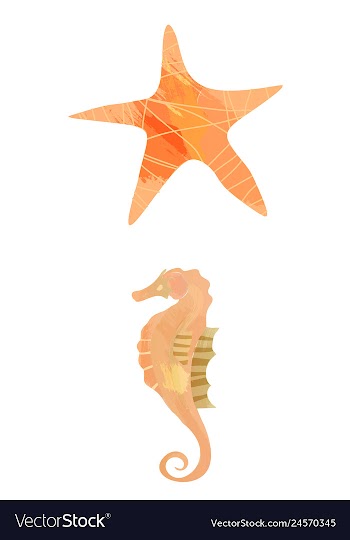 Set of watercolor seaweed corals and stones vector image