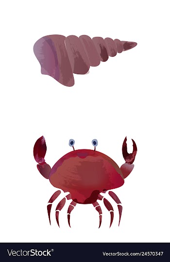 Set of watercolor seaweed corals and stones vector image