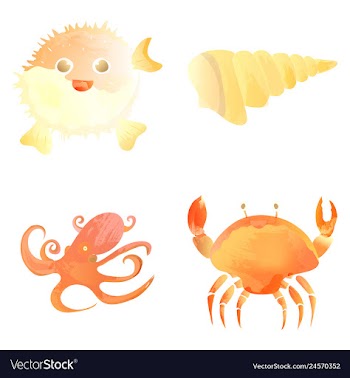 Set of watercolor seaweed corals and stones vector image