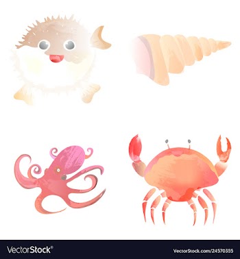 Set of watercolor seaweed corals and stones vector image