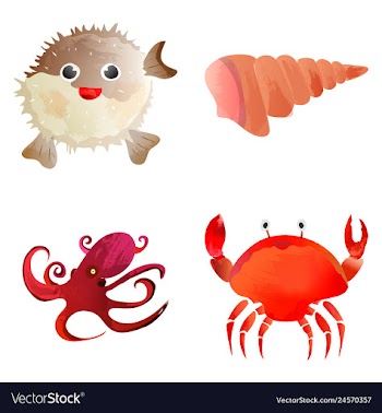 Set of watercolor seaweed corals and stones vector image
