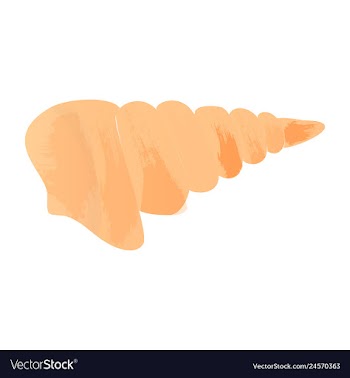 Set of watercolor seaweed corals and stones vector image